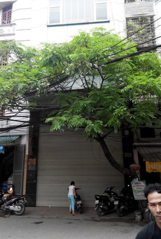 Chủ công ty nghe lén 14.000 điện thoại đối mặt án tử hình? - ảnh 2